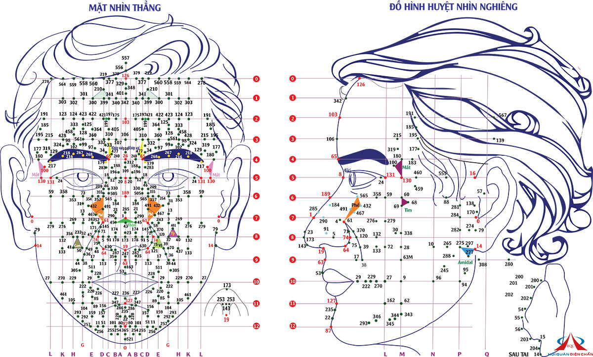 32-phac-do-dien-chan